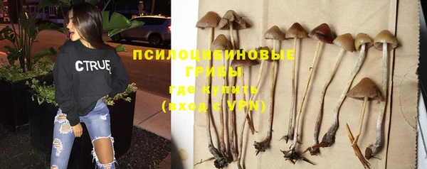 кокаин колумбия Белокуриха