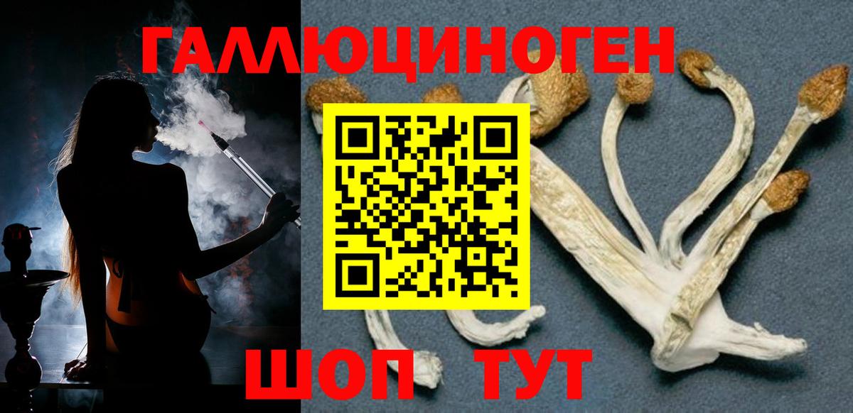 Гай  купить  цена  Вход с VPN  Галлюциногенные грибы MAGIC MUSHROOMS  Галлюциногенные грибы MAGIC MUSHROOMS 