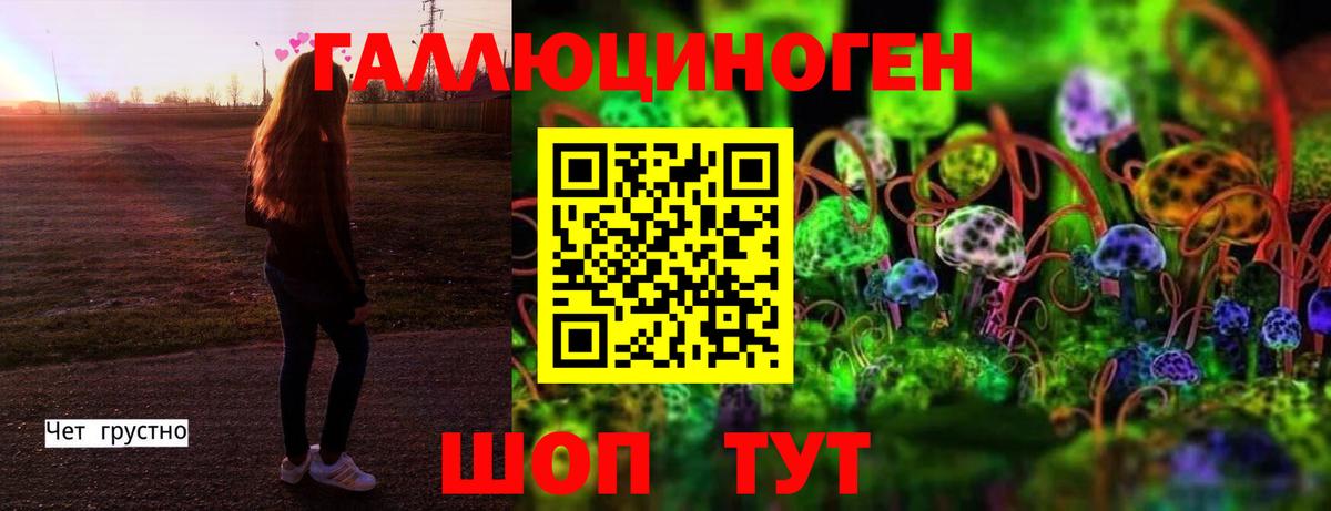 Псилоцибиновые грибы Magic Shrooms Гай